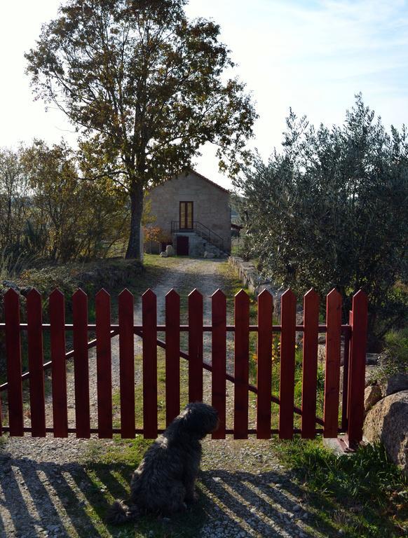 Retiro Da Lameira Seia Exteriér fotografie